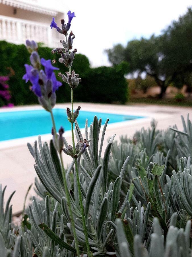 Holiday Home Villa Emma Debeljak Extérieur photo